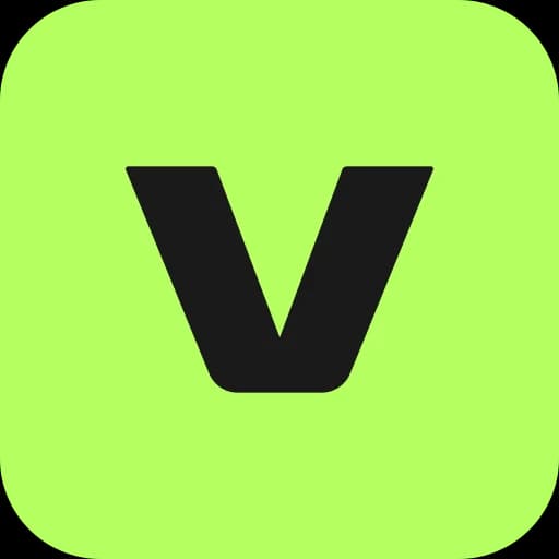 VEED.IO Pro
